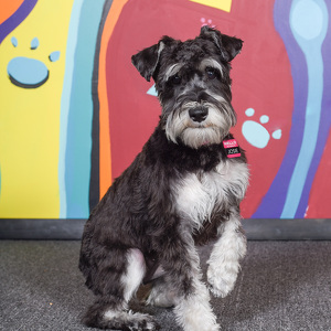 Fundraising Page: Katie Easton-Ring